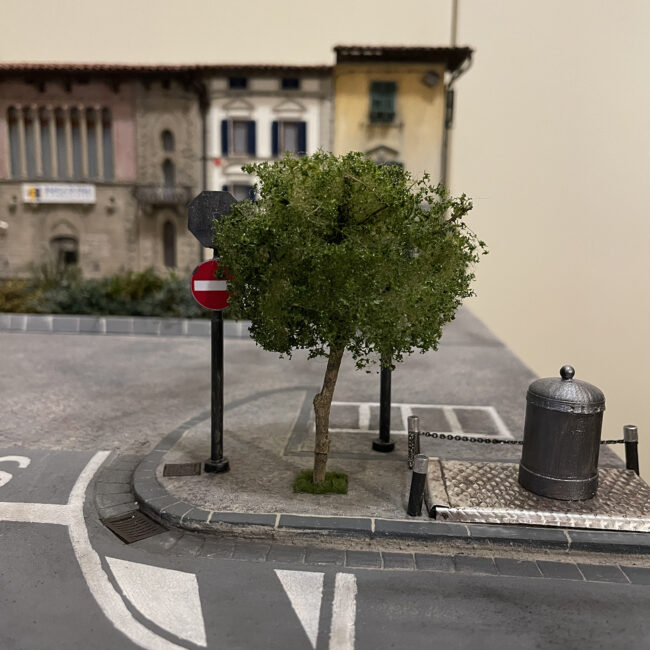 Tree of the square Santa croce sull'Arno